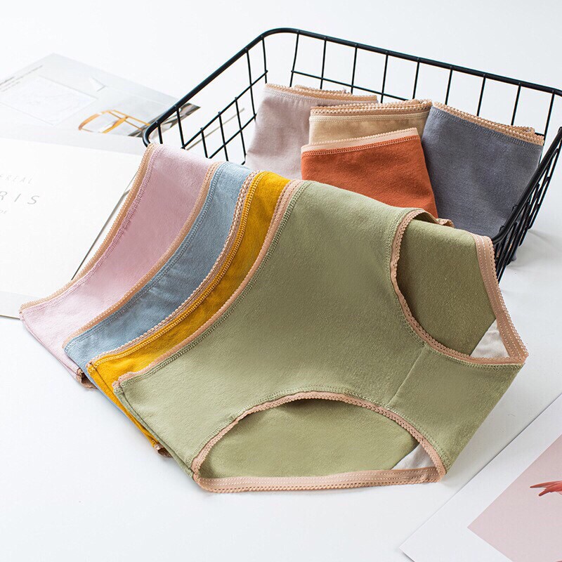 Quần Lót Cotton Sợi Bông Đa Sắc Cao Cấp