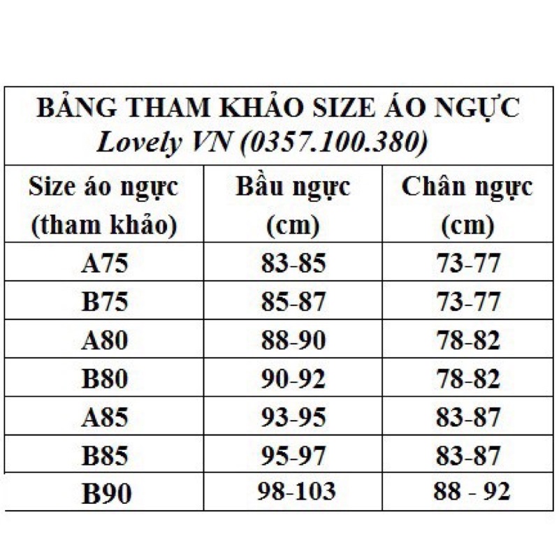 Áo Lót Ren Lovely Mút Kép Mỏng 3 Móc Cài Size