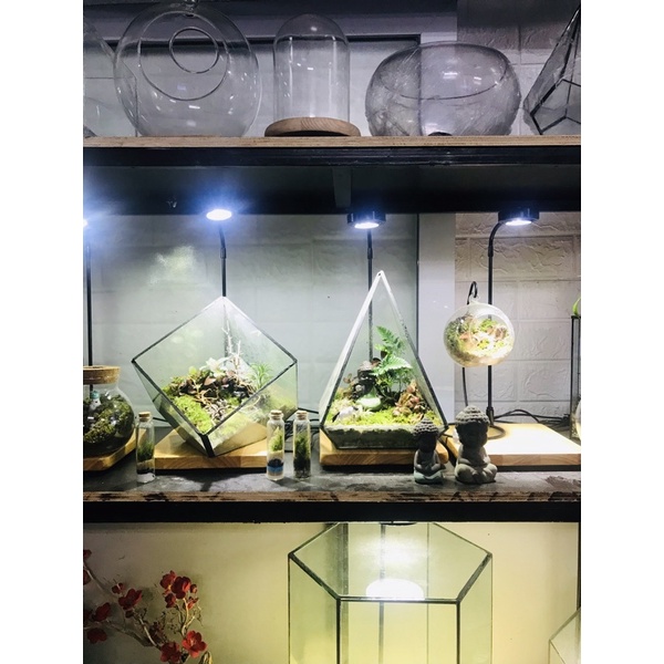 (Siêu rẻ) Đèn đế gỗ thuỷ sinh, tiểu cảnh mini