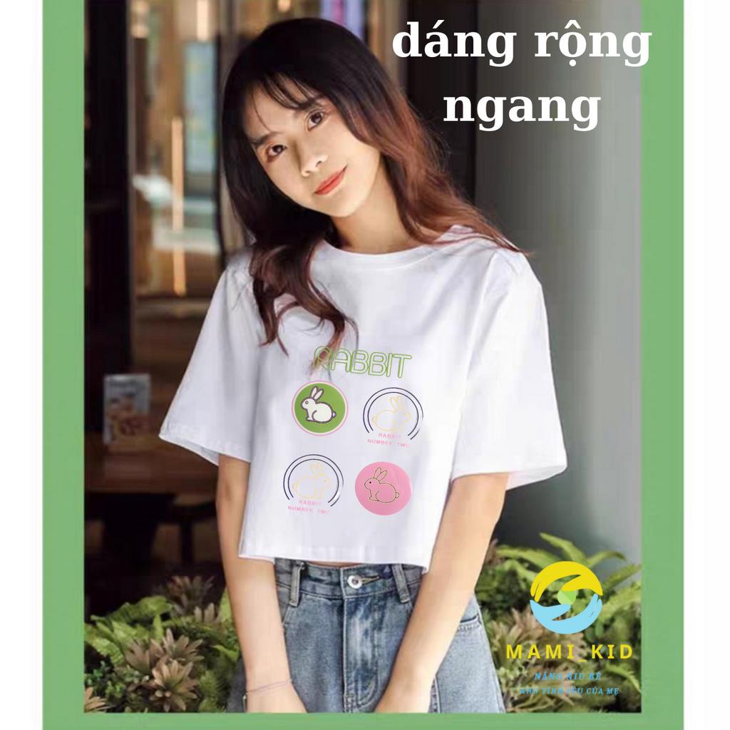 (APT) Áo Phông Cho Bé, Áo Thun Bé Gái hình thỏ siêu xinh