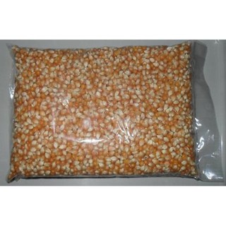 H0508 ngô mỹ làm bắp rang