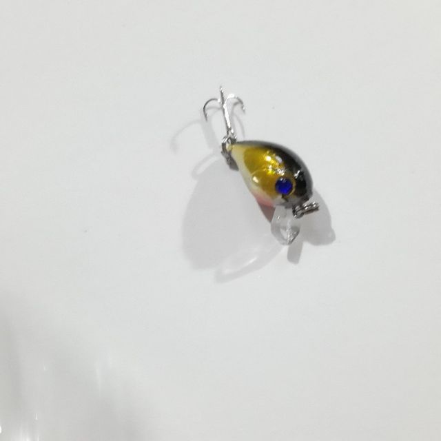 Combo 5 con mồi ruồi siêu nhậy( mua 10 tặng 1 )