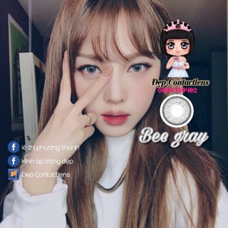 Lens vassen bee gray