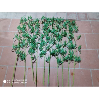 Cây trúc giả