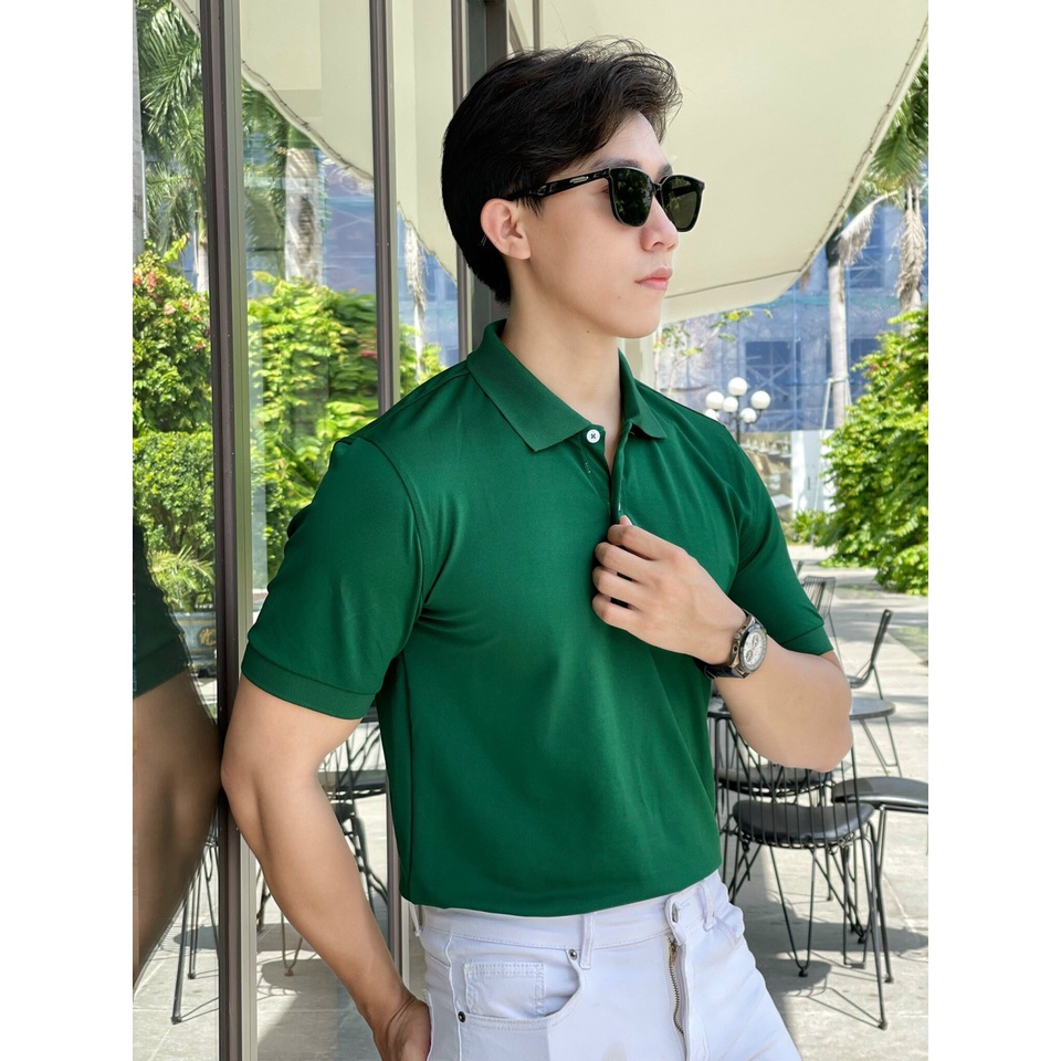 Áo polo nam BEMAN-PL6,cổ bẻ ngắn tay cao cấp,vải thun cá sấu co giãn,mặc thoải mái,năng động,lịch sự