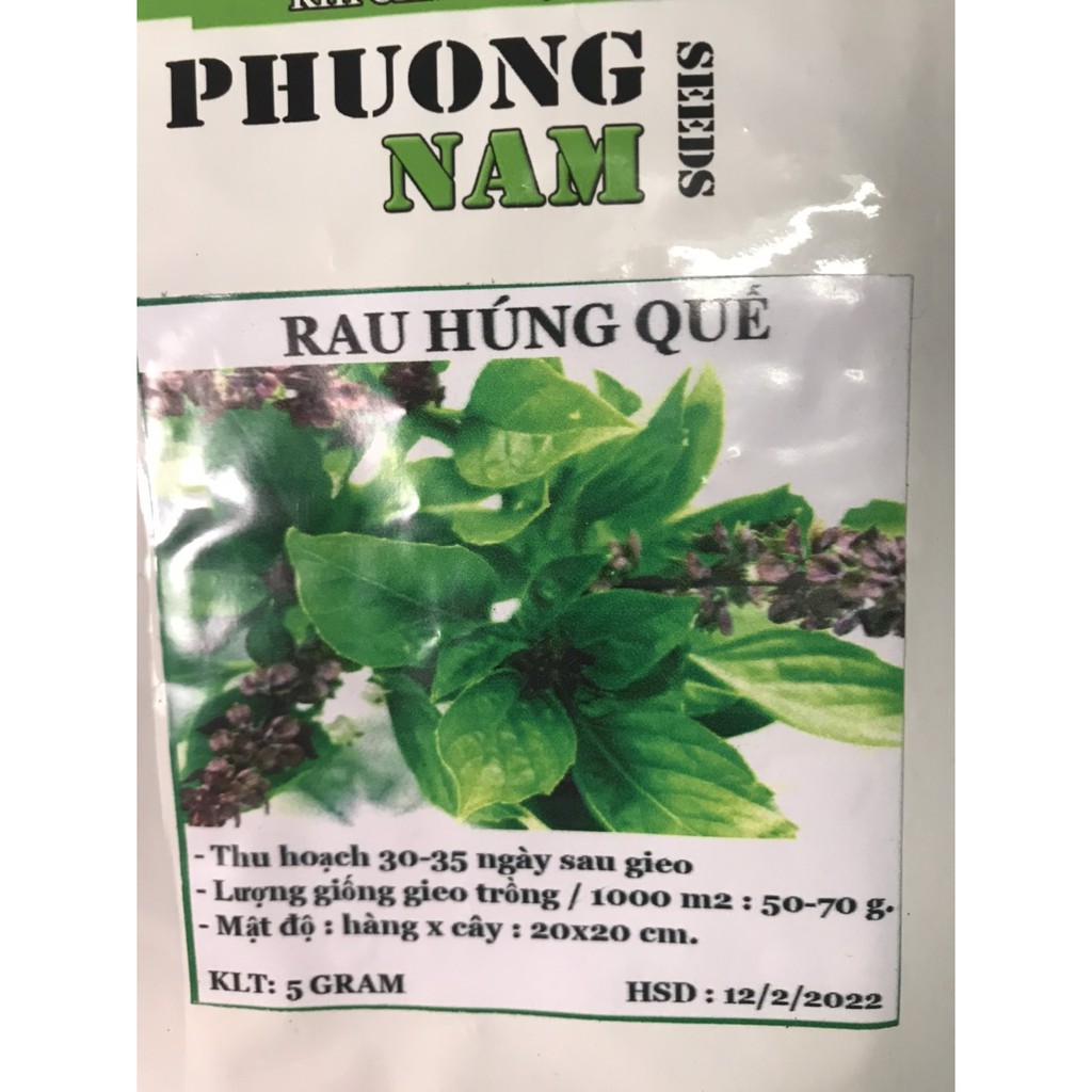 5 Gram Hạt giống rau Húng Quế- Xanh ngọt, Làm gia vị, trang trí cho các món ăn ngon