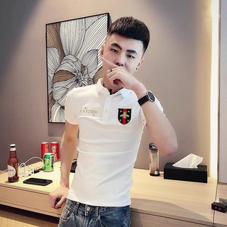 Áo thun nam tay ngắn cổ bẽ bâu mẫu mới