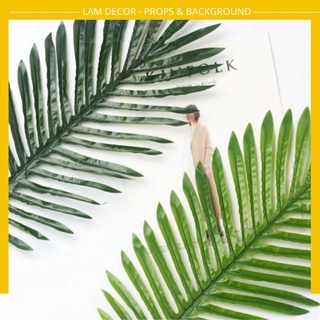 Lá Dừa To Làm Phụ Kiện Chụp Hình, Trang Trí Nhà Cửa