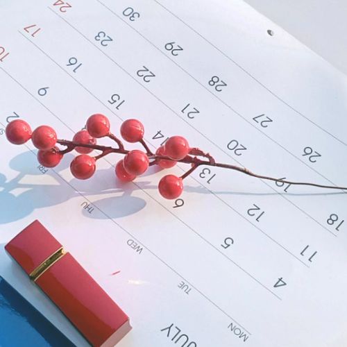 Đào đông giả mini 1 cành dài 20 cm gồm 12 quả dùng để decor, trang trí.