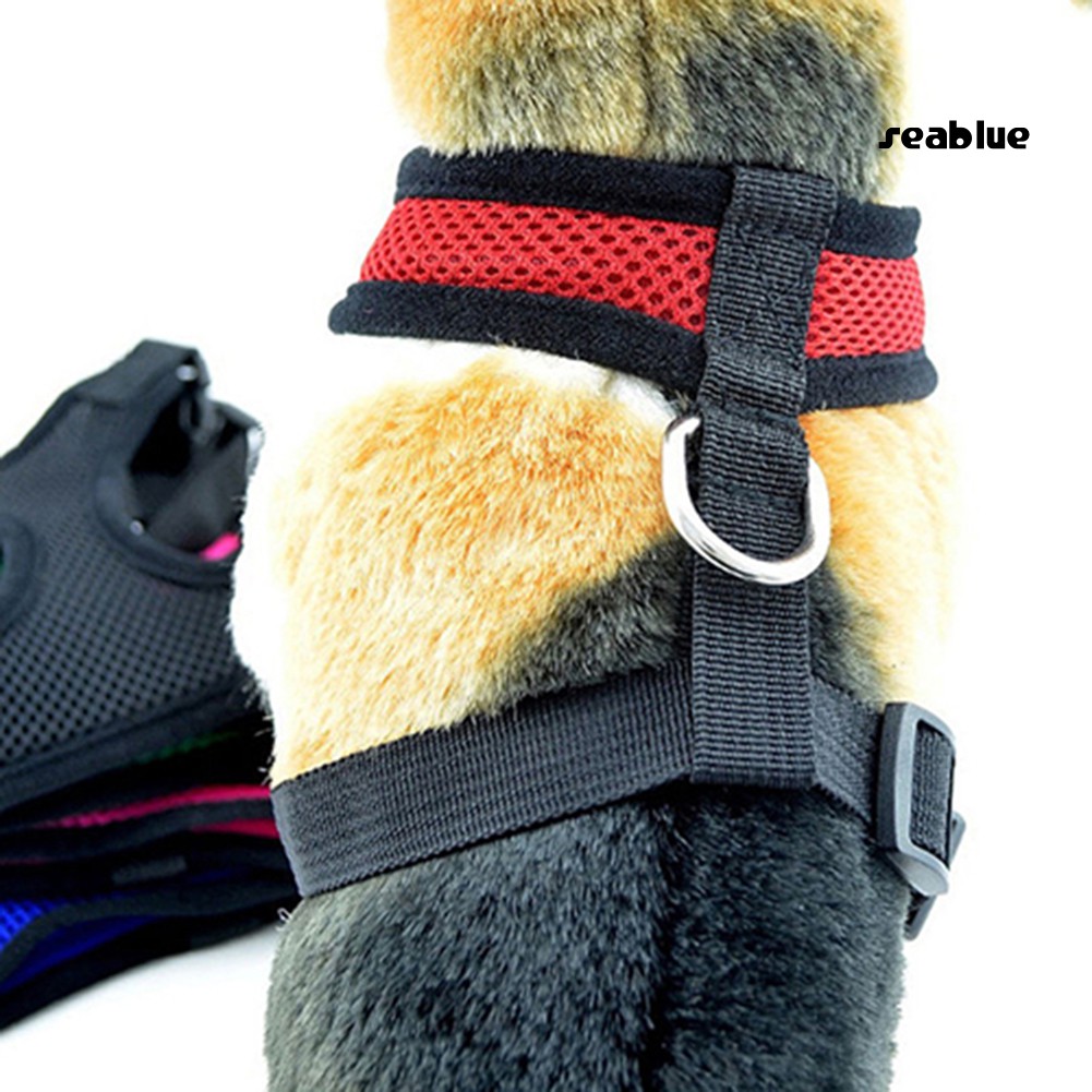 Dây Đeo An Toàn Cho Thú Cưng