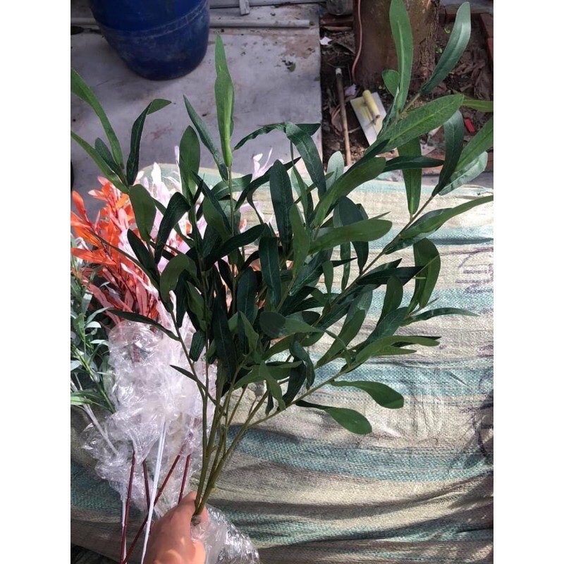 Cành lá oliu giả - Cành oliu các loại dài 90 cm cắm điểm trang trí
