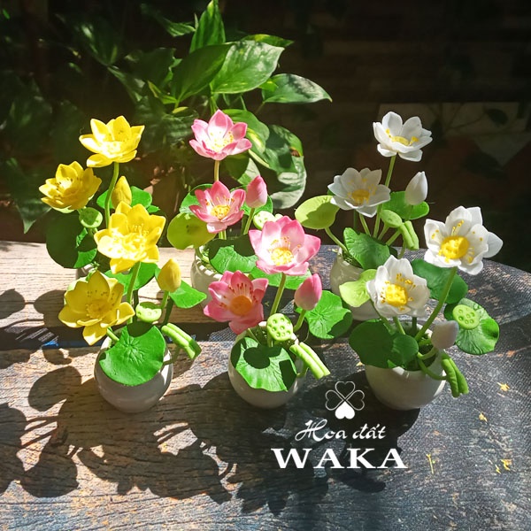 Hoa Đất Sét Mini- Hoa Sen