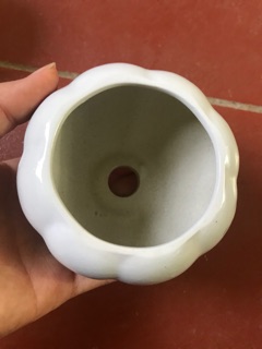Chậu tròn mini