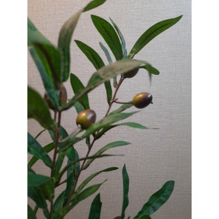 Hoa lụa-cành oliu-cành olive giả