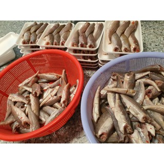 Khô Cá Lù Đù Lớn 1kg ( vị mặn)