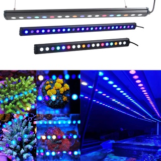 Đèn Ledbar xanh bluesky trợ sáng cho bể cá biển 60 90 120 150cm