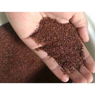 1kg Hạt Ngũ Hoa( Hạt Đình Lịch)