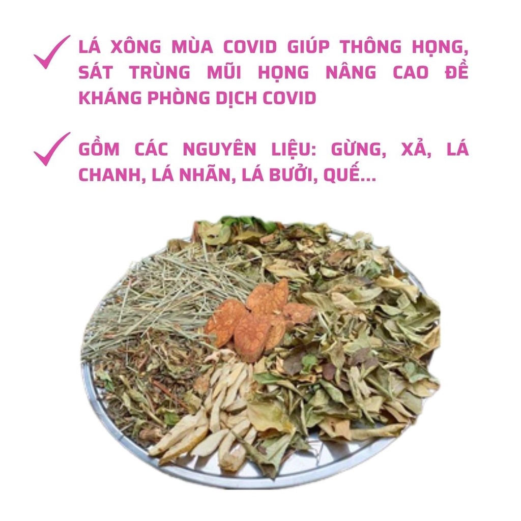 Máy Xông Mặt Mũi Họng HOMIKA Công Nghệ Nano Cao Cấp Máy Xông Hơi Mặt Mini Hoa Quả Thảo Dược Phun Sương