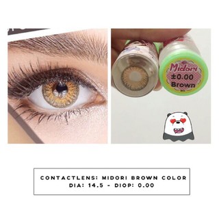 Lens Nâu Tây (1,25 ĐỘ)