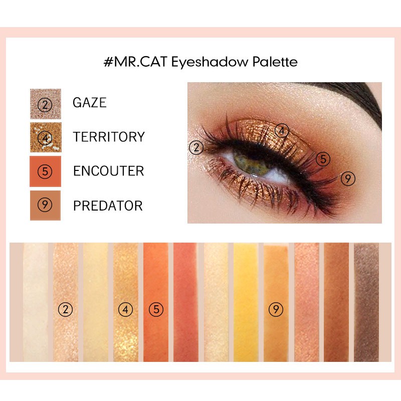 Bảng phấn mắt AIKIMUSE 12 màu ánh nhũ chống thấm nước lâu trôi 150g | BigBuy360 - bigbuy360.vn