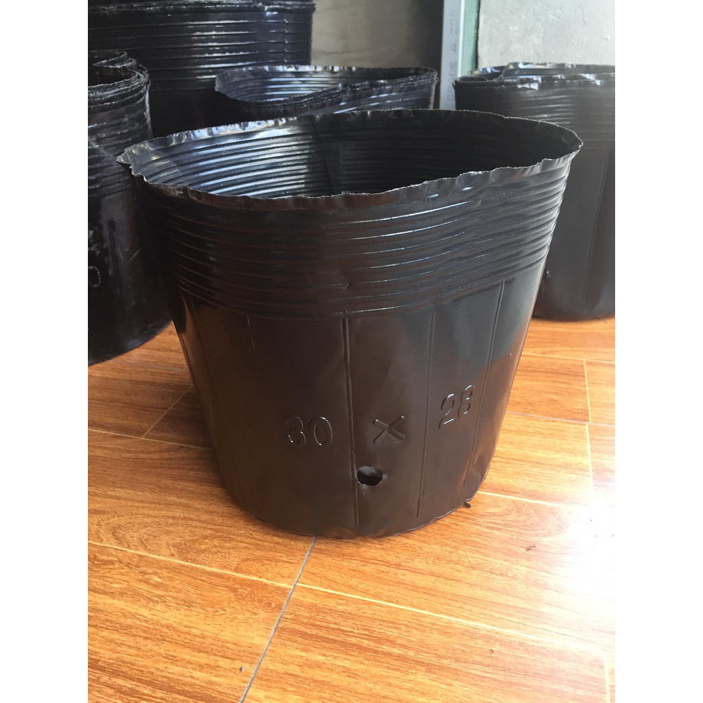 1kg(29-30 cái) bầu ươm cây màu đen giá chỉ 56k