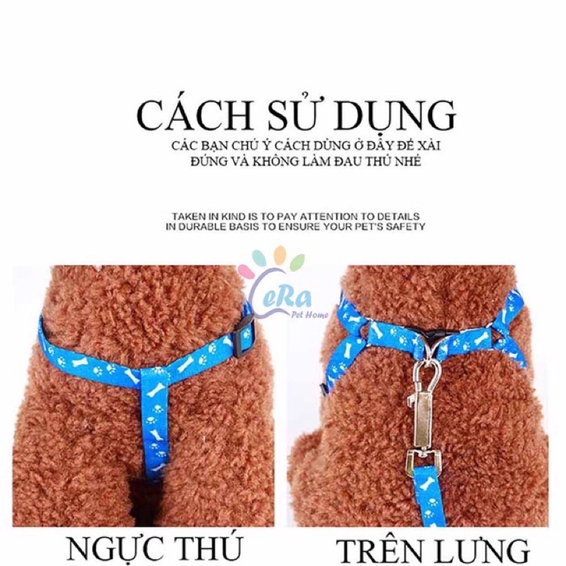 Dây dắt cho cún miu ( Size &lt;5kg ) ?