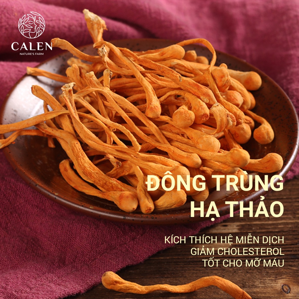 Trà Đông Trùng Hạ Thảo Sấy Khô Giúp Bồi Bổ Cơ Thể, Nâng Cao Sức Khỏe