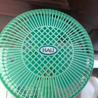 Quạt ngã tự động tắc Hali ( hình thật 100 %)