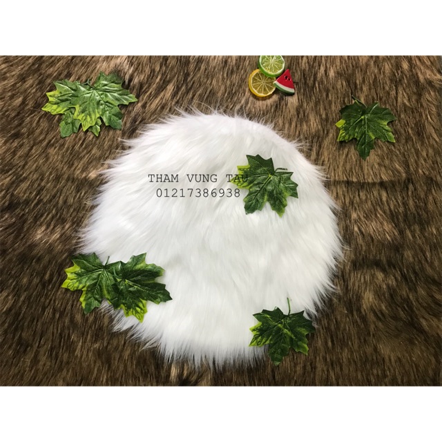 Set thảm/ phụ kiện chụp ảnh [ 4 món]