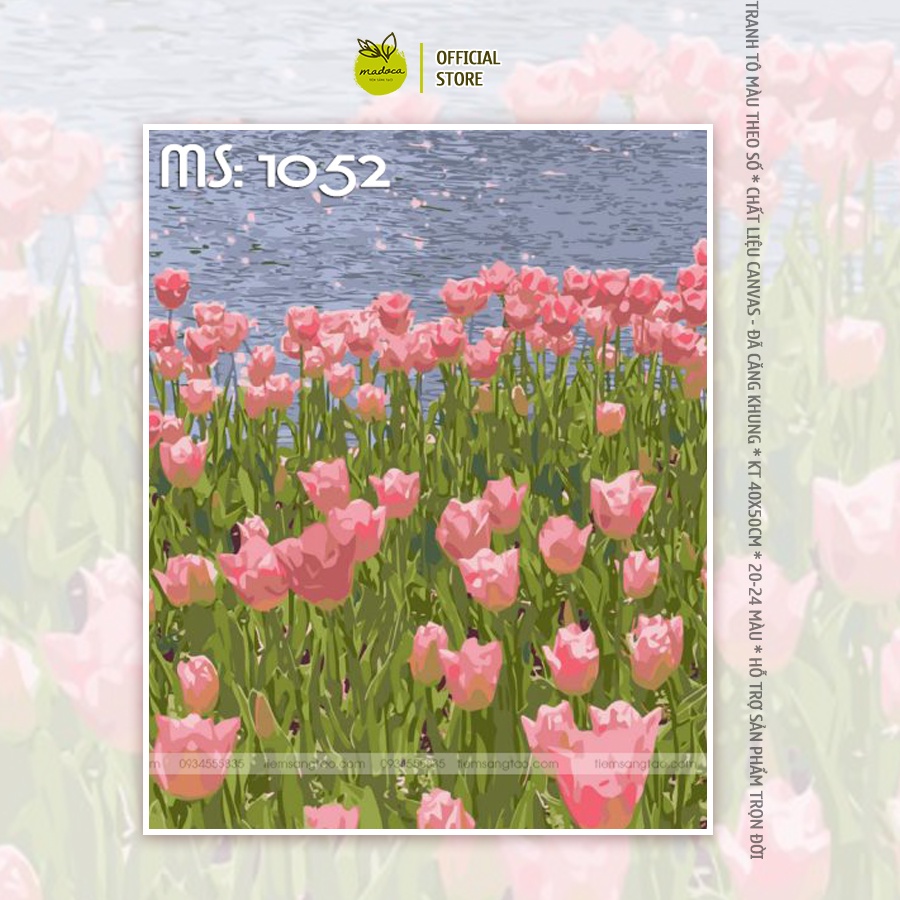 Tranh tô màu theo số Madoca có khung 40x50cm tulip hồng ve hồ lấp lánh T1052