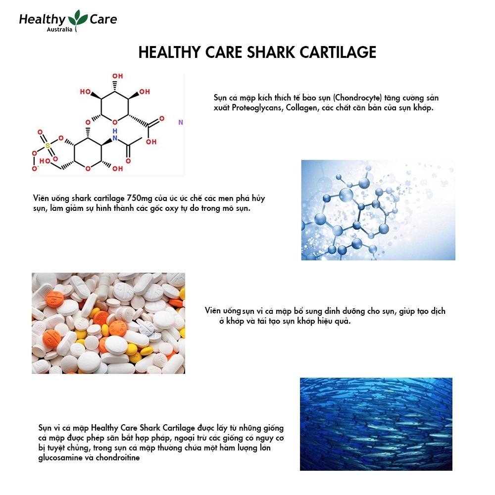 Viên uống sụn vi cá hỗ trợ xương khớp Healthy Care Shark Cartilage 750mg 200 viên