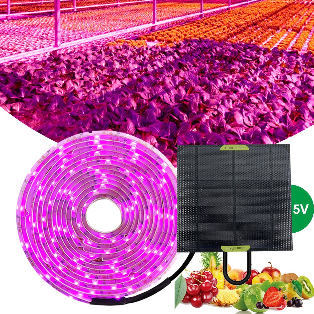 Dây đèn led trồng cây bằng năng lượng mặt trời 5V 2835 bằng silicon