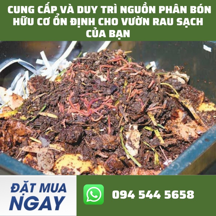 Sinh Khối Trùn Quế (Con Giống) Quy Cách Thùng 5Kg - Giải Pháp Hoàn Hảo Để Xử Lý Rác Bếp Và Cải Tạo Đất Trồng Cây.