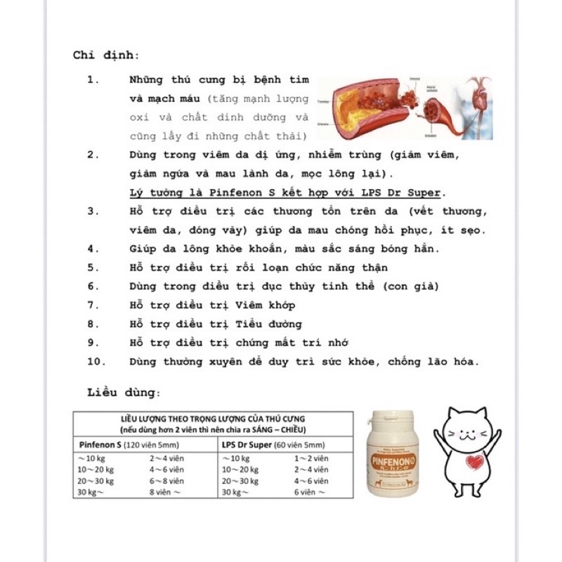 Combo 10 viên uống tăng cường tuần hoàn máu - Chống gốc tự do Pinfenon S và LPS