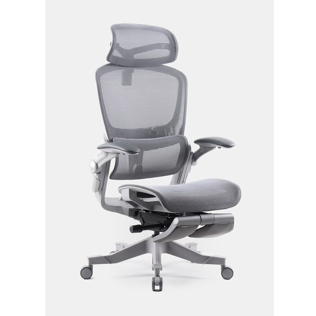 Ghế công thái học Epione Easy Chair - Hàng chính hãng