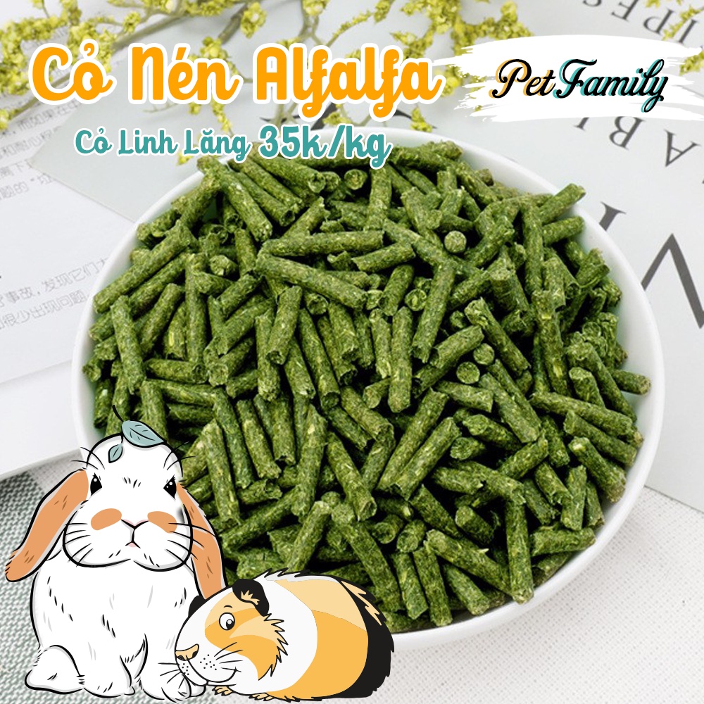 1Kg Cỏ Alfalfa Khô - Cỏ Linh Lăng Khô Thức Ăn Thỏ Bọ