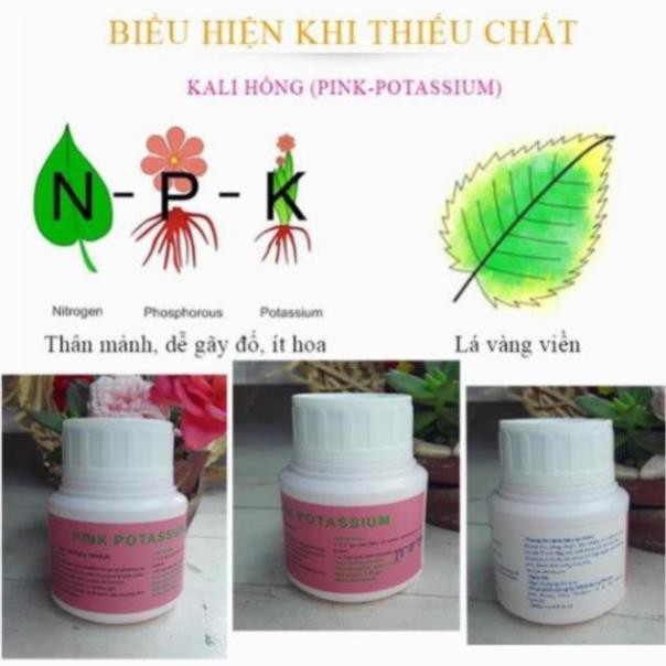 [Hiệu Quả-An Toàn-Tiết Kiệm]100g Phân bón kích thích cây ra hoa đậu trái. Tác dụng của phun Kali qua lá với cây trồng