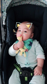 Gặm nướu hươu cao cổ Giraffe Teether