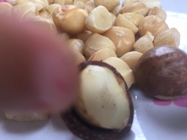 Hạt Macca Lâm Đồng