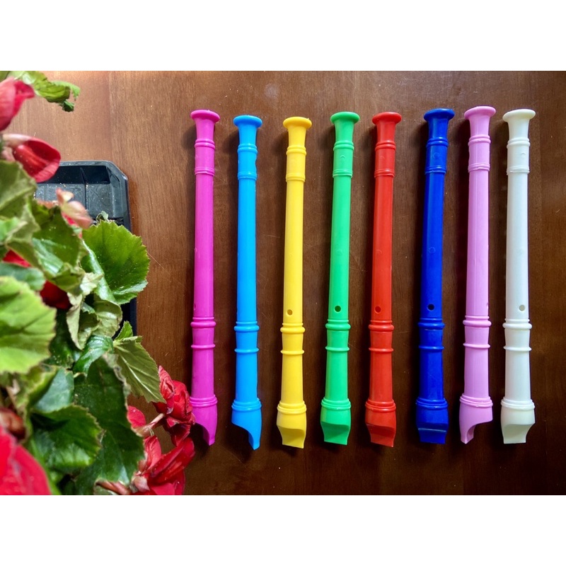 10 cây sáo Recorder