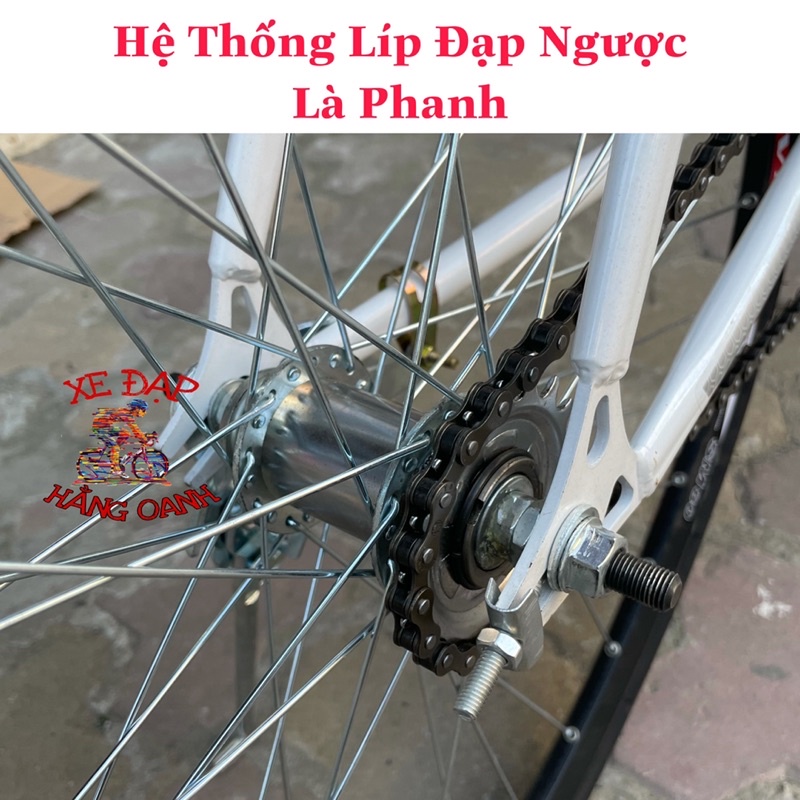 Xe đạp thể thao Fixed Gear phanh bằng chân Avibus Bền Bỉ Dễ Dàng Sửa Chữa + KM 5 Phụ Kiện