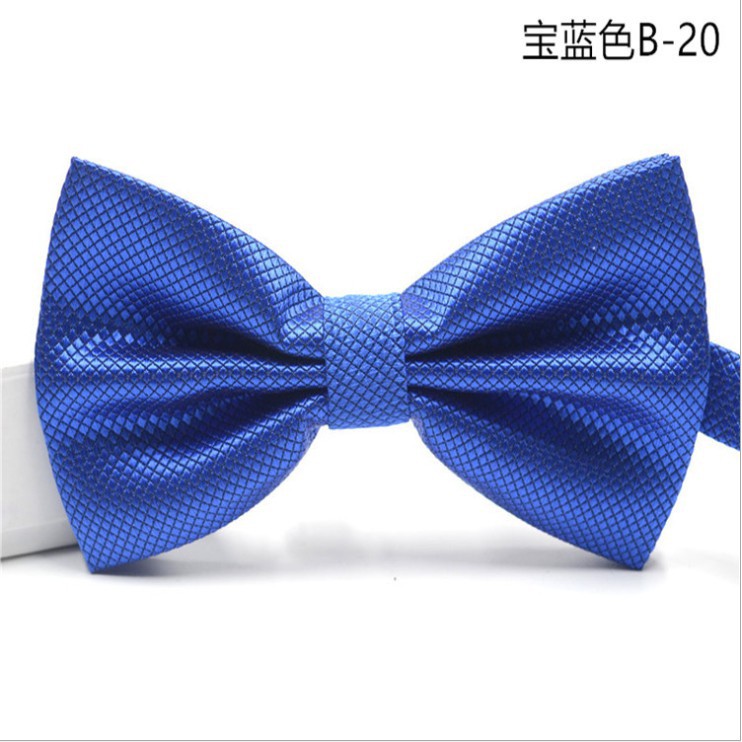 Cà Vạt Nơ Màu Sắc Tinh Tế Cho Nam Giới