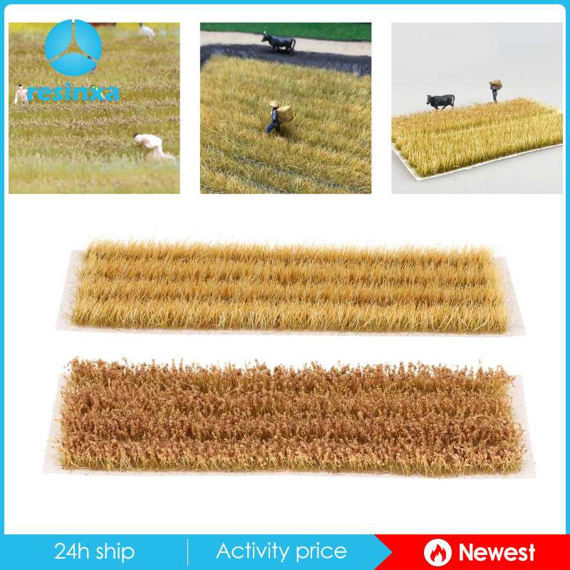 Mô hình cánh đồng lúa mì mini tỉ lệ 1:72-87 dùng trang trí tiểu cảnh