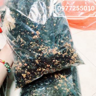 RONG BIỂN CHÁY TỎI