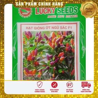 Hạt Giống Ớt Kiểng Nhiều Màu(30 hạt) Đức