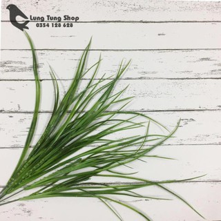 Phụ kiện chụp hình sản phẩm - cỏ dài