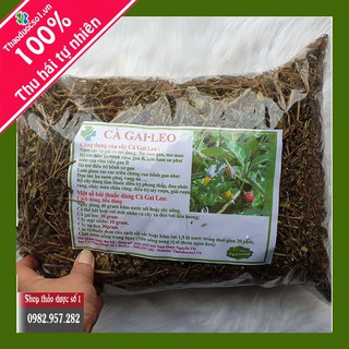 Cà gai leo xạ đen giải độc gan