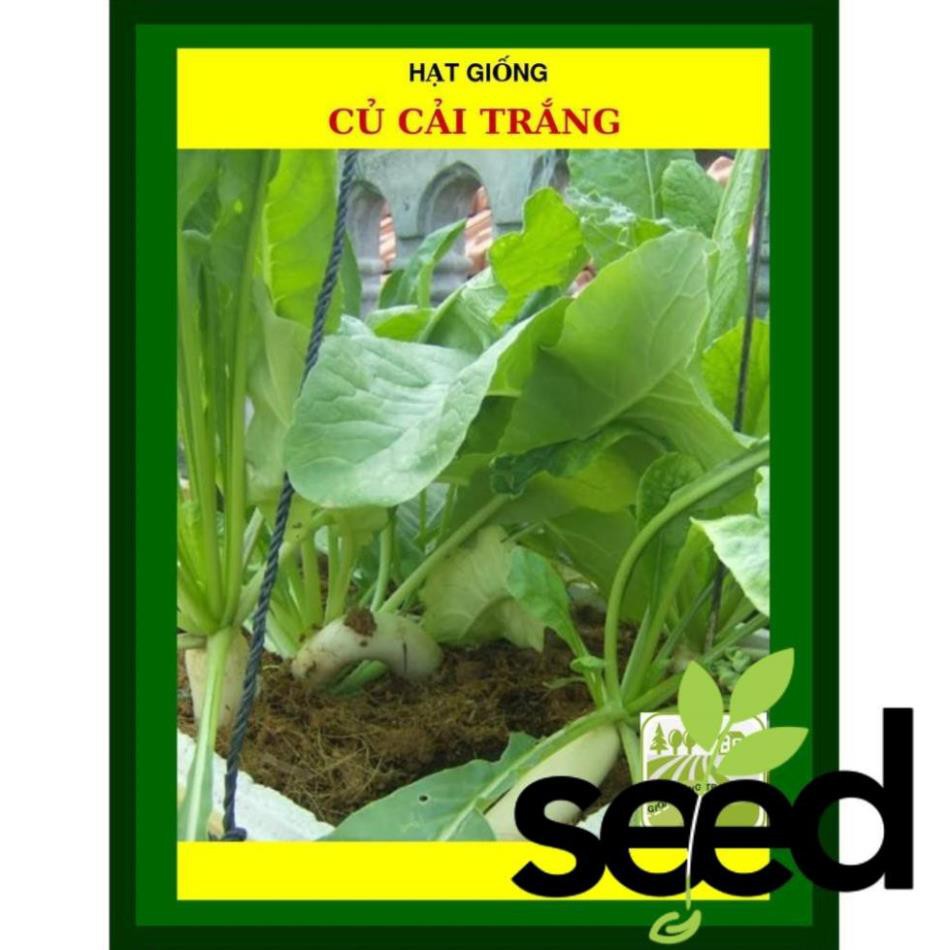 Hạt Giống Củ Cải Trắng 50 Gram