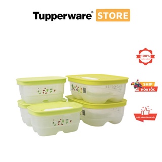 Bộ hộp trữ mát có nút hô hấp Ventsmart Five Star 800ml & 375ml Tupperware