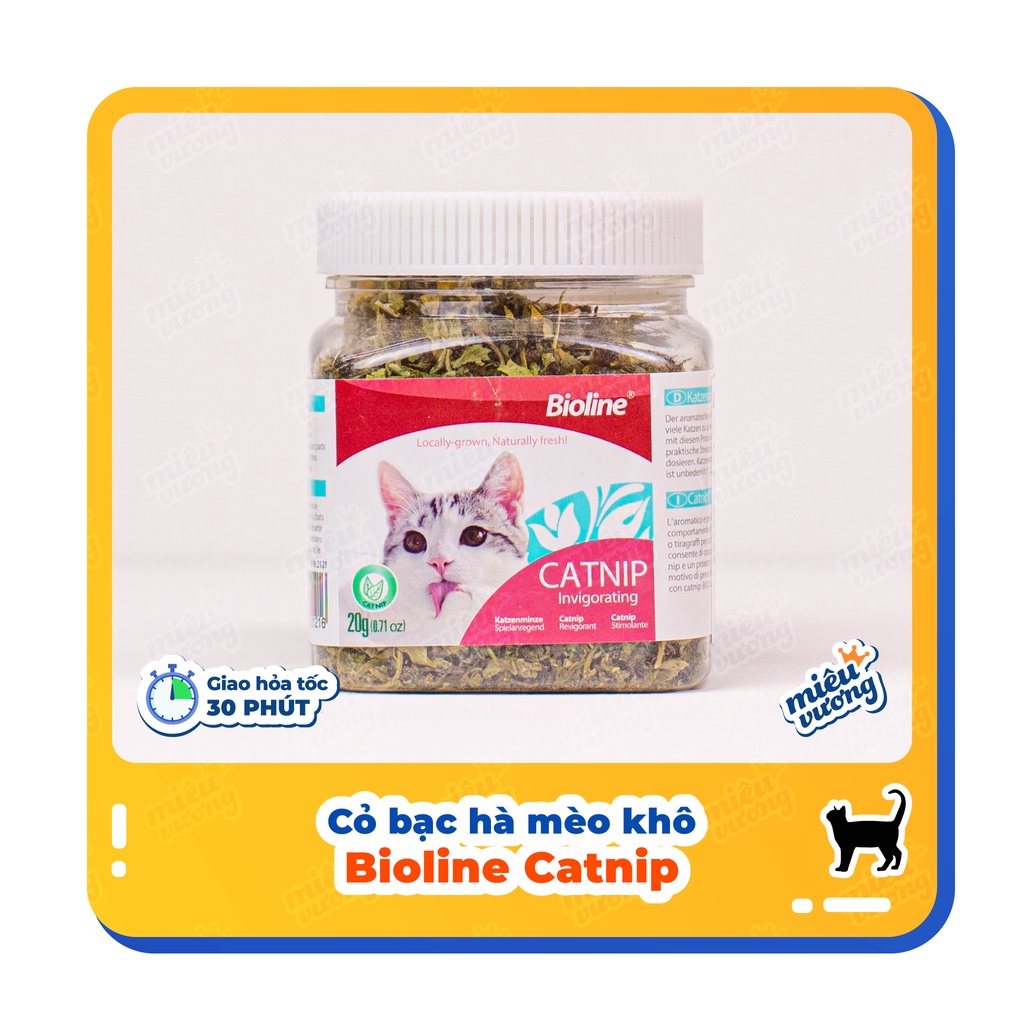 [Bioline Catnip] Cỏ bạc hà mèo khô [Lọ 20g]